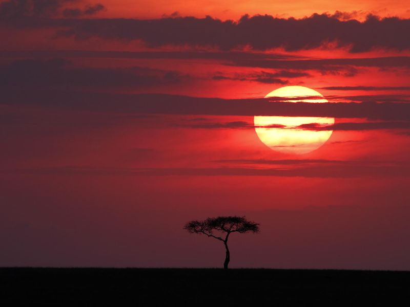 Kenia Safari - Sunset Masai Mara