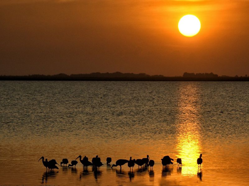Kenia Safari - Naivasha Lake