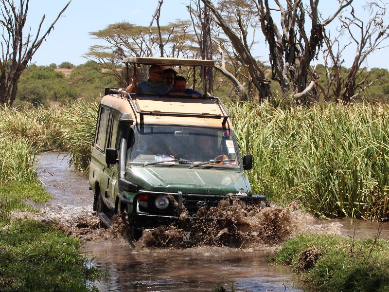 Kenia Safari - mit dem Geländewagen